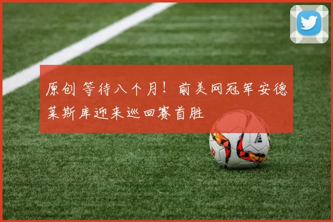 原创 等待八个月！前美网冠军安德莱斯库迎来巡回赛首胜