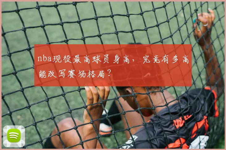 nba现役最高球员身高，究竟有多高能改写赛场格局？