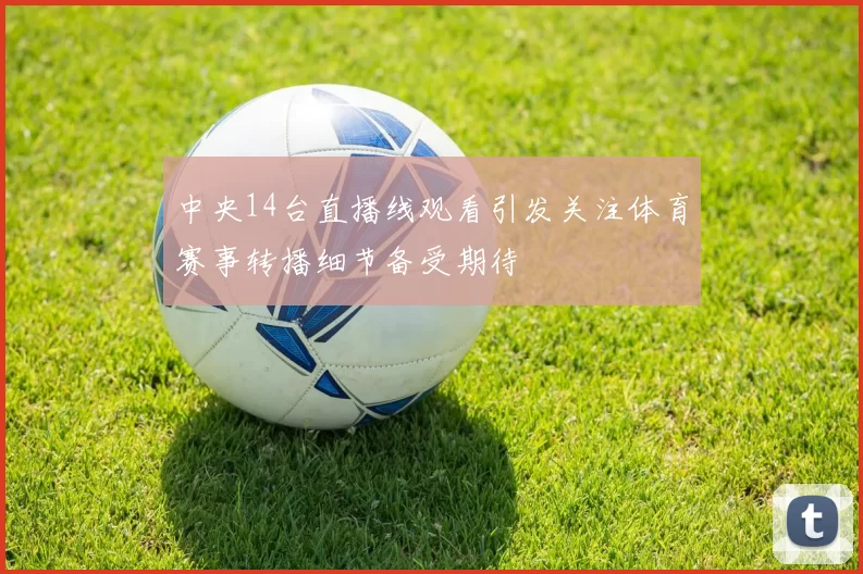 中央14台直播线观看引发关注体育赛事转播细节备受期待