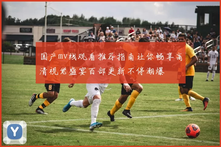 国产mv线观看推荐指南让你畅享高清视觉盛宴百部更新不停潮爆