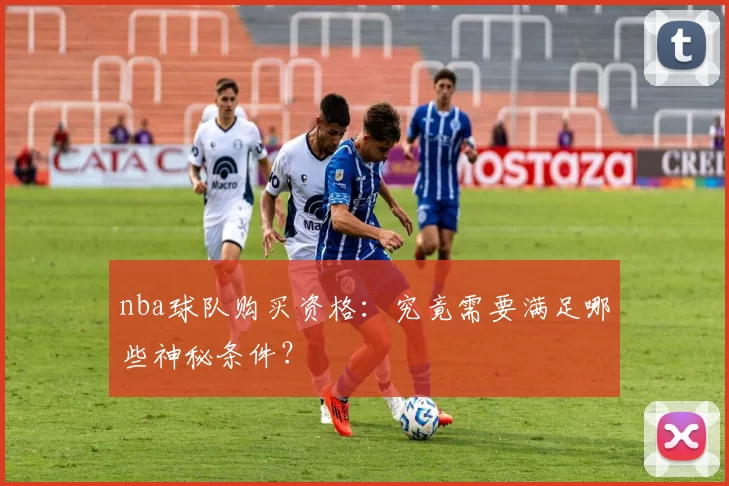 nba球队购买资格：究竟需要满足哪些神秘条件？