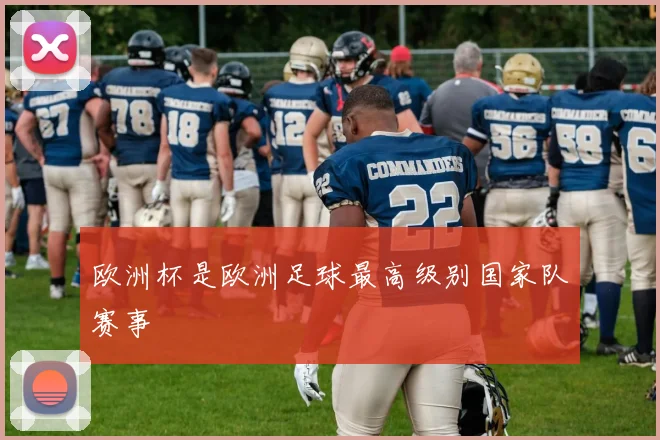 欧洲杯是欧洲足球最高级别国家队赛事